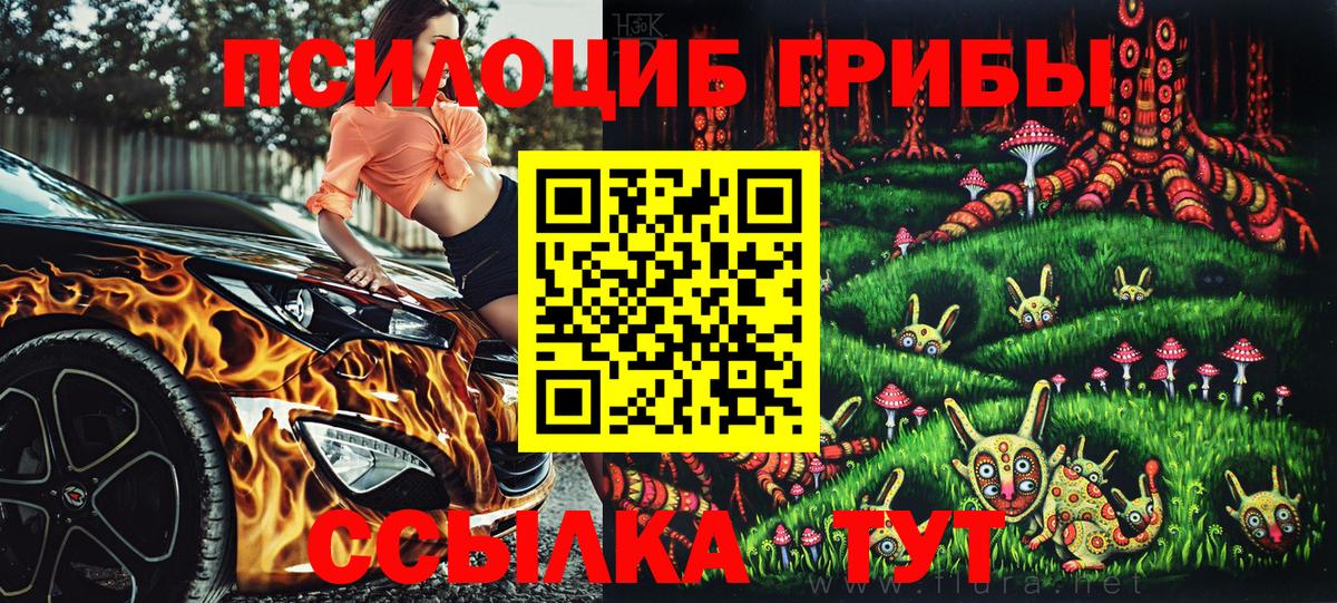 Галлюциногенные грибы Psilocybine cubensis Волгодонск
